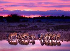 Wildlife Namibia - Ungewöhnliche Natur und wilde Tiere auf Safari entdecken Rundreise