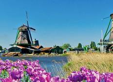 Tulips & Windmills (2024) (Amsterdam to Antwerp, 2024) Tour