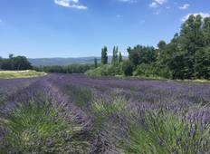 Wandeling Provence 7 nachten-rondreis