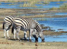 Okavango Delta Erkundung Rundreise