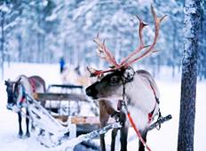 Tailor-Made Finland Adventure to Lapland Tour