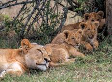 Kenya and Tanzania Family Safari Tour