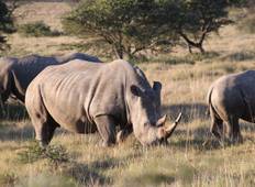 The Big 5 - Wildlife und vielfältige Natur im südlichsten Afrika Rundreise