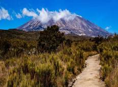8 Days Mount Kilimanjaro Climb Northern Circuit Route Tour