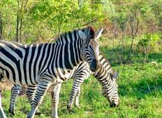 Wonders of Africa - Ngorongoro Crater > Serengeti National Park Tour