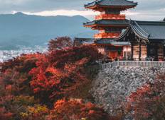 Japan 360°: discovering Tokyo, Kyoto, Hiroshima and Osaka Tour