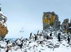 Tiefgehende Antarktis & Patagonien Expedition (Nordkurs) (including Santiago) Rundreise