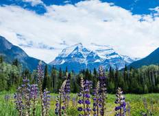 Panorama der Kanadischen Rocky Mountains (20 Tage) (26 destinations) Rundreise