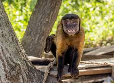 9-Day Enchanting Guyana Private Tour Tour