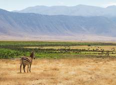 The Big Overlander (Accommodated) - 43 days Tour