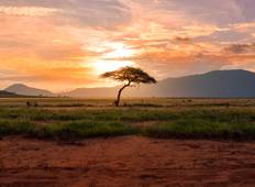 7 Nächte 8 Tage Kenia Safari mit Adventures Overland Rundreise