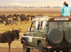 Kruger to the Serengeti (Accommodated) - 29 days Tour
