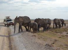 3-Day Wild Elephants Mid-Range Tour