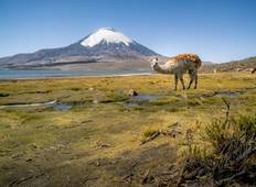 Avontuur Atacama - Natuurprogramma in de droogste woestijn ter wereld (5 dagen)-rondreis