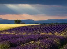 Das Beste der Provence Plus! Luberon und Aix-en-Provence Rundreise