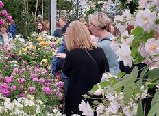 Chelsea Flower Show (in den Westen) Rundreise