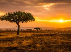 Taste of Tanzania (2024-2025, 6 Days) Tour