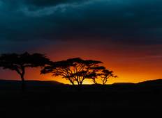 East Africa Safari (11 Days) Tour