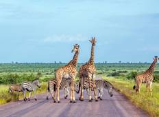 Kruger Safari with Eswatini (7 Days) Tour
