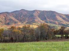Hike the Great Smoky Mountains: Fall Foliage Tour