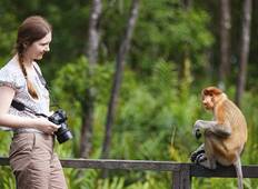 Borneos Tierwelt - Familienreise Rundreise