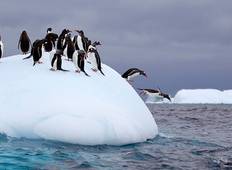 Antarctic Explorer, Operated by Quark Tour