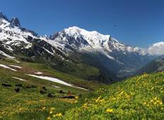 Mont Blanc Wanderung Rundreise