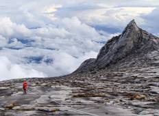 Borneo Family Holiday Tour