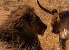 Vic Falls to Kruger Tour