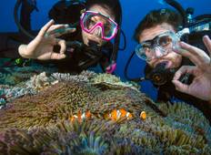 3 Day/2 Night Outer Reef Liveaboard Trip Tour