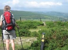 The Wicklow Way - 7 Days Tour