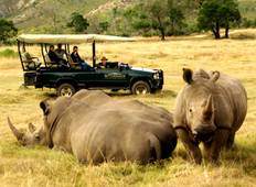 Garden Route Safari - Epischer Roadtrip durch Südafrika (3 Tage) Rundreise