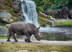 Tansania Camping-Safari Rundreise