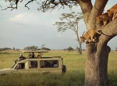 Victoriafälle & Serengeti-Abenteuer – Safarifahrten & Sternensee Rundreise