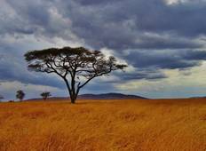 Serengeti und Ngorongoro Krater Rundreise