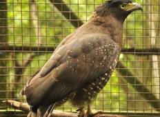 Wildlife Rescue Centre, Indonesië - 1 week-rondreis