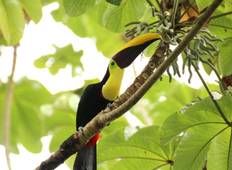 Costa Rica Family Holiday with Teenagers Tour