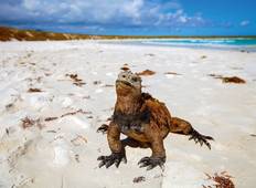 Ultimate Galapagos: Central Islands (Grand Daphne) Tour