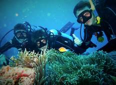 Reef Entdeckungsreise: Meeresschutzprogramm auf dem Great Barrier Reef Rundreise