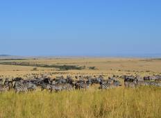 Masai Mara Camping-Safari Rundreise