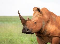 7-day Victoria Falls to Kruger Camping Tour