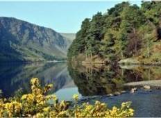 5 Day Walking in Wicklow Tour