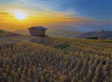 Golden Triangle North Thailand plus Phuket 8-Day Tour