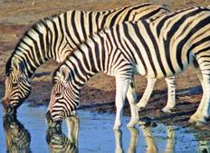 Zebras & Sansibar - 11 Tage Rundreise
