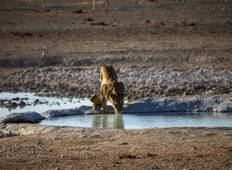 Entdecke den Krüger-Nationalpark & die Victoriafälle National Geographic Journeys Rundreise
