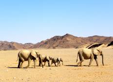 Namibia 4WD Desert Safari Tour