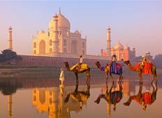 Taj Mahal, Wildtiere und königlicher Aufenthalt in Schlössern Rundreise
