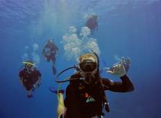 Marine Conservation on the Great Barrier Reef - Program for Certified Divers Tour