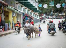 Nördliche Schätze von Vietnam - 9 Tage Rundreise
