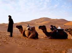 Woestijn Onderdompelingstocht-rondreis
